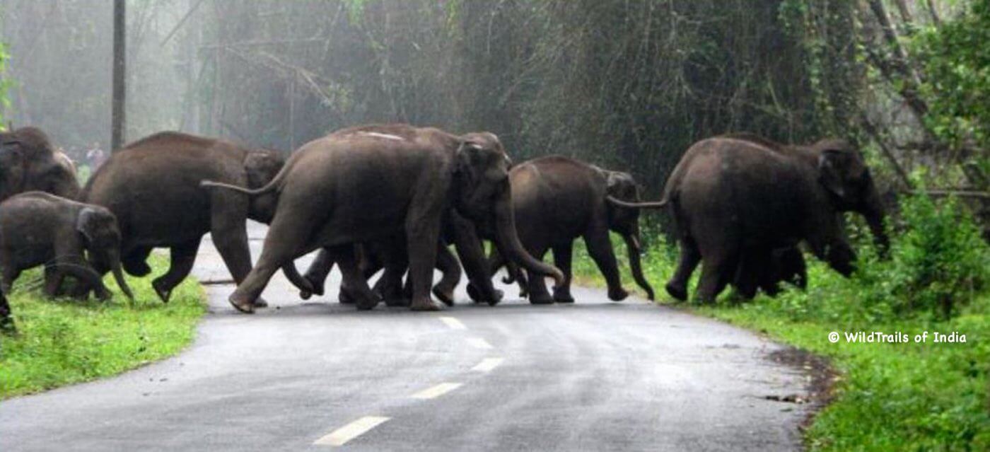 Madurai & Munnar Magic